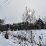 Зима в Подмосковье